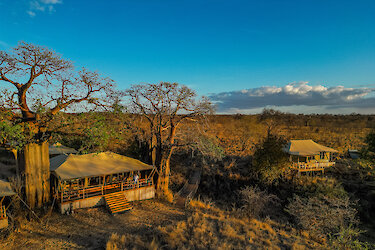 Blick auf die Olkeri Camp Unterkünfte im Tarangire-Nationalpark in Weitaufnahme