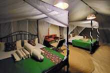 Serengeti View Camp Zelt mit Einzelbett und Doppelbett