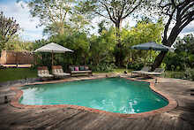 Pool mit Sonnenliegen auf dem Holzdeck der Mvuu Lodge