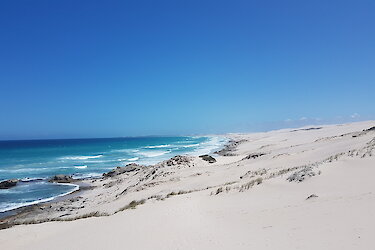 Tag 6: De Hoop Nature Reserve - Das Juwel des Westkaps