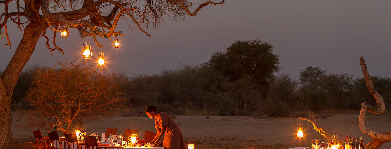 Dinner am Lagerfeuer unter dem Sternenhimmel mitten in der Natur