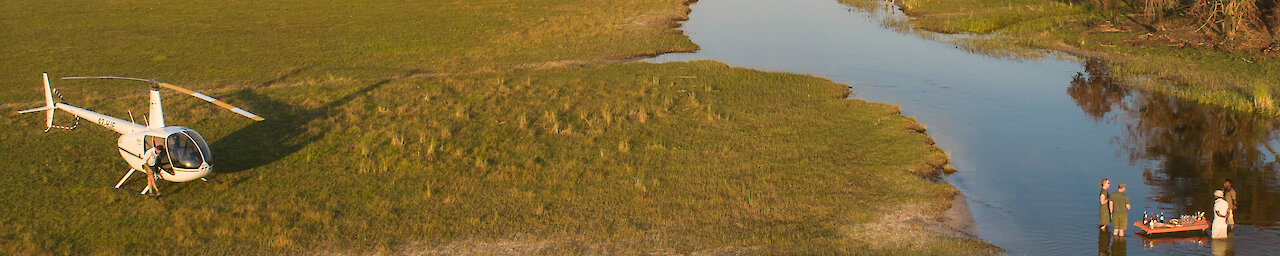 Botswana - Moremi Wildreservat - Löwe