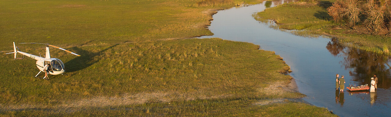 Botswana - Moremi Wildreservat - Löwe
