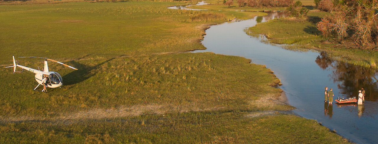 Botswana - Moremi Wildreservat - Löwe