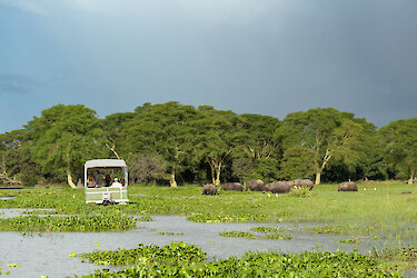 Elefanten im Fluss bei einer Bootsafari mit Central African Wilderness Safaris