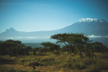 Blick auf den Kilimandscharo vom Amboseli-Nationalpark