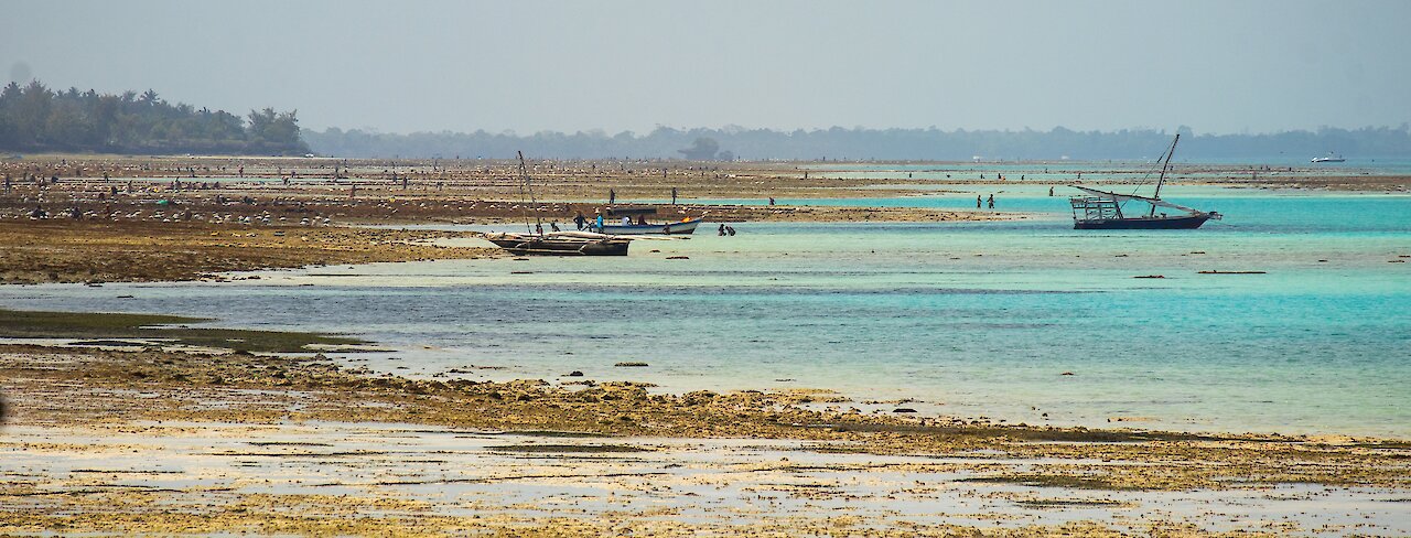 Strand von Pemba Island bei Ebbe