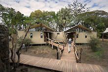 African Bush Camp Thorntree