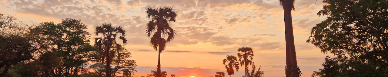 Sonnenuntergang im Liwonde-Nationalpark