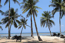 Coconut Beach Lodge Beach mit Strandliegen