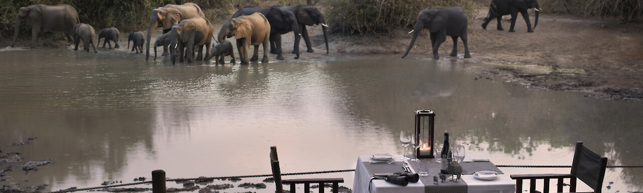 Elefanten am Wasserloch des Kanga Expeditions