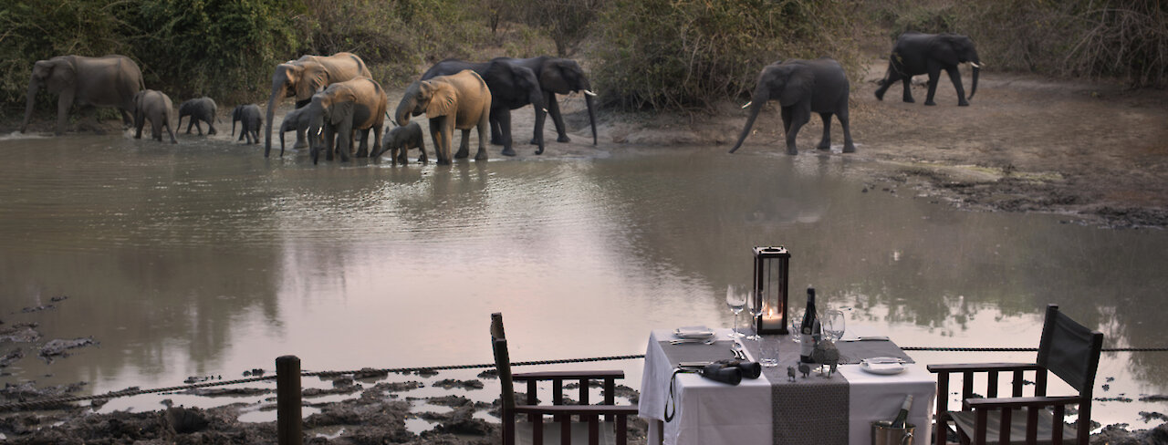 Elefanten am Wasserloch des Kanga Expeditions