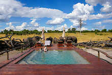 Somalisa Expedition Camp Pool