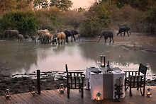 Kanga Expedition Camp Abendessen mit tierischem Besuch