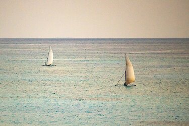 Dhows im Indischen Ozean