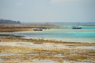 Ebbe an der Küste von Pemba