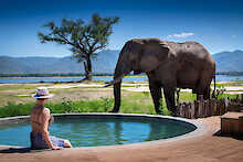 Nyamatusi Camp Gemeinschaftspool mit Elefant und Blick auf Sambesi