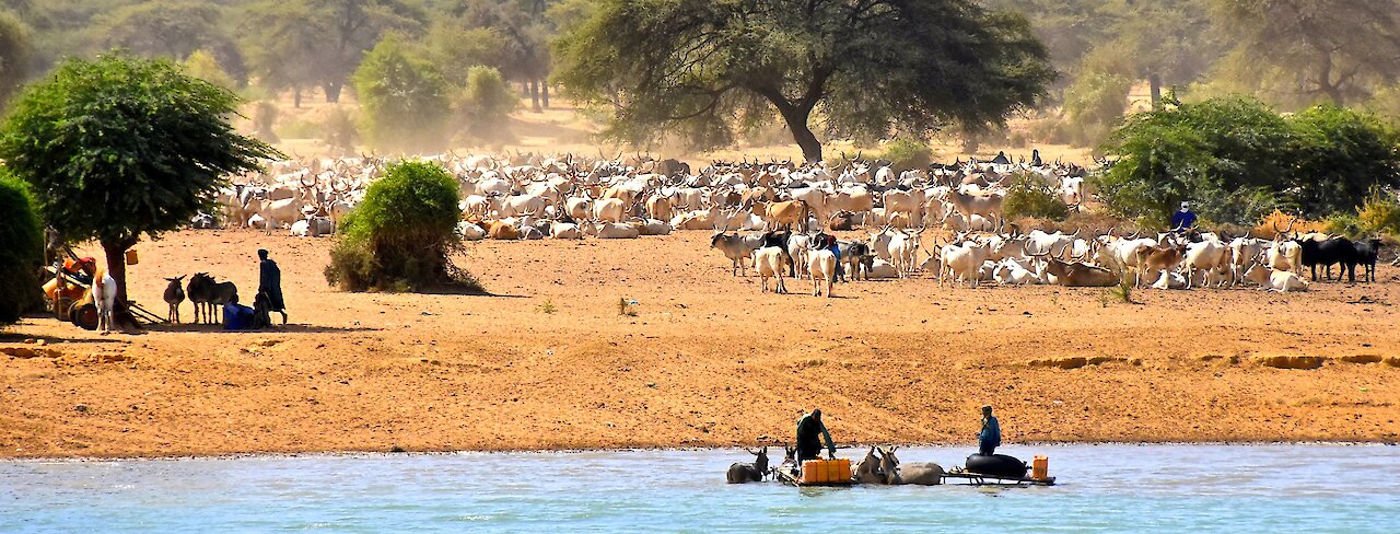 Einblick in das Leben am Senegal-Fluss