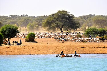 Einblick in das Leben am Senegal-Fluss