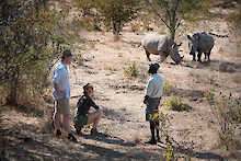 Thorntree River Lodge nashorn beobachtung zu fuss