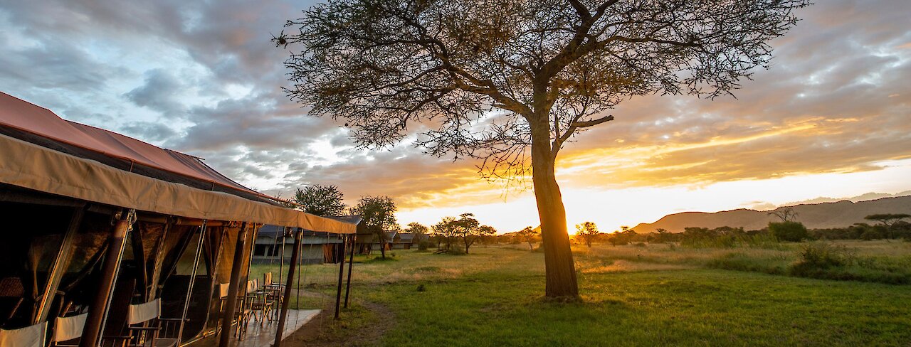 ThornTree Camp Hauptzelt im Sonnenuntergang