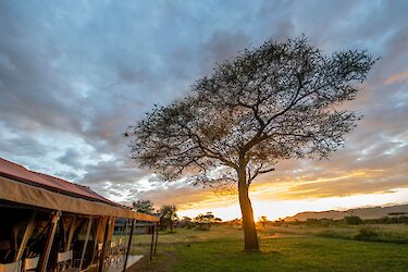 ThornTree Camp Hauptzelt im Sonnenuntergang