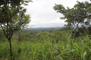 Aussicht über den Outombo-Kilimi-Nationalpark