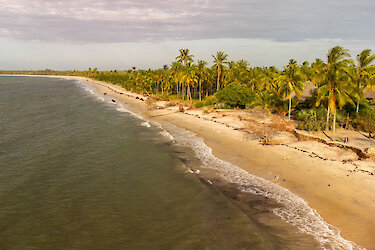 Strand mit Palmen in Pangani