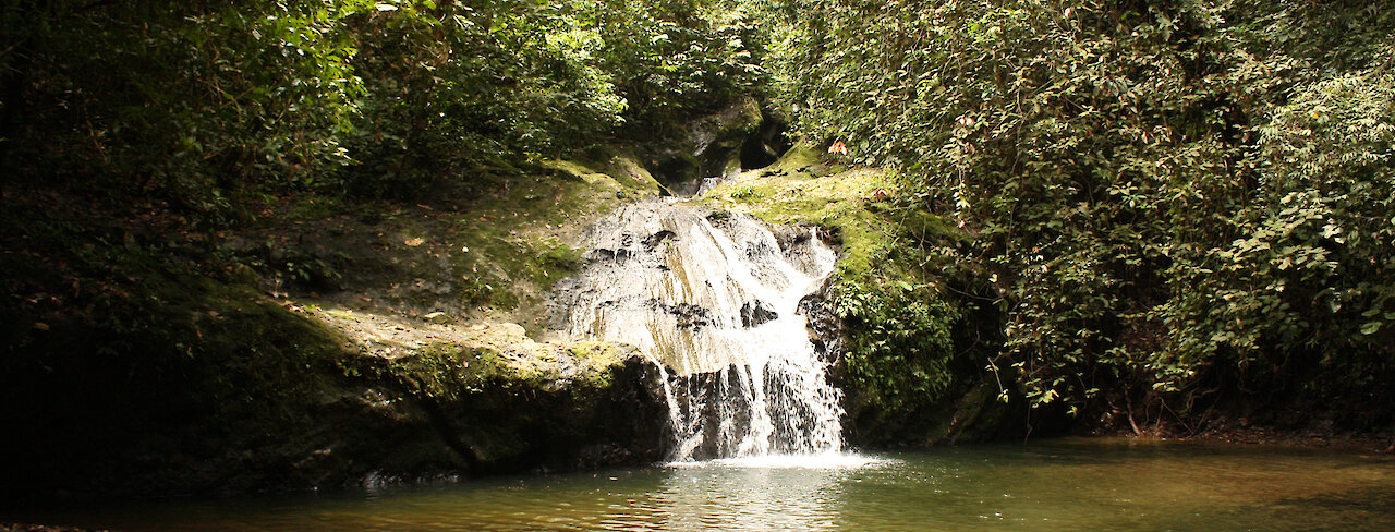 Kota-Wasserfall in einer Lichtung