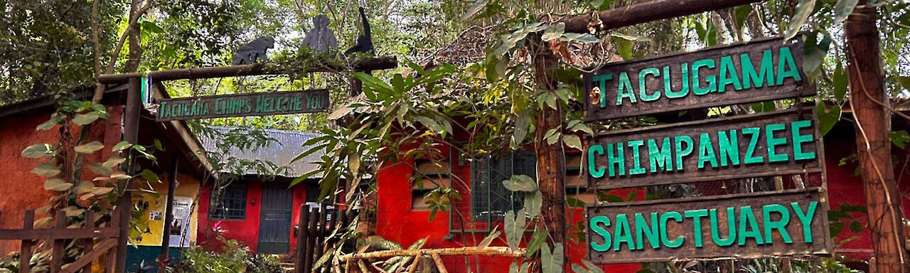 Eingang zum Tacugama-Chimpanzee-Sanctuary