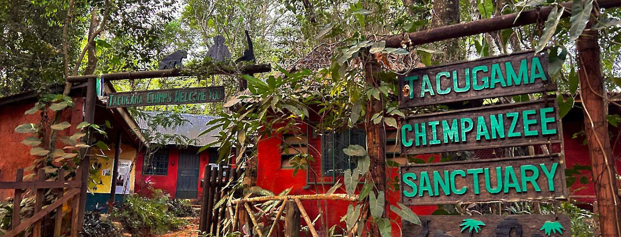 Eingang zum Tacugama-Chimpanzee-Sanctuary