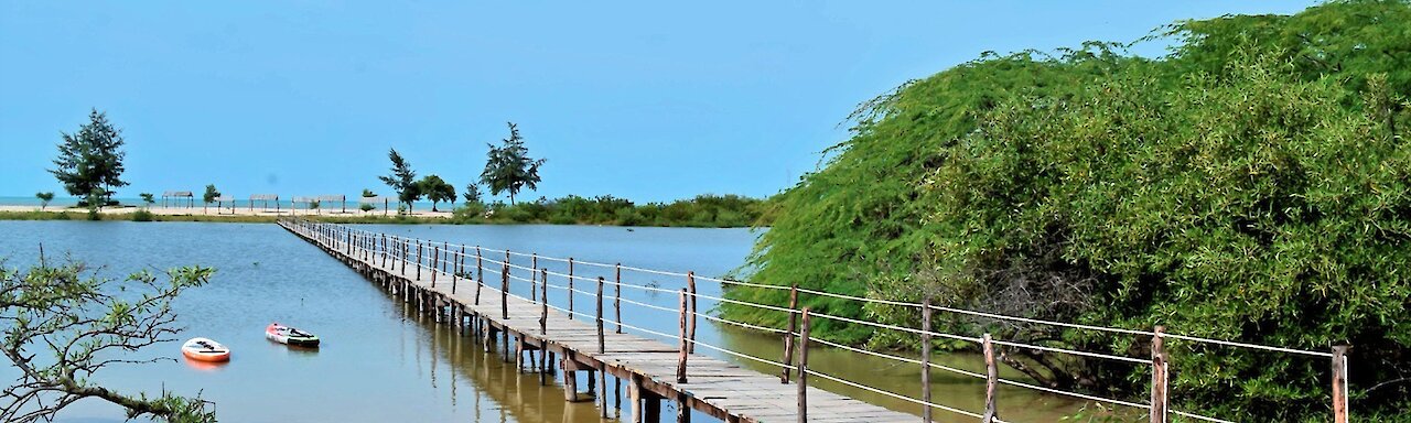 Steg der King Baobab Lodge