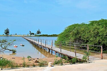 Steg der King Baobab Lodge