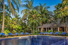The Palms Pool mit Sonnenliegen