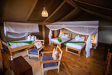 Tamba Tented Camp Serengeti Unterkunft drei Einzelbetten