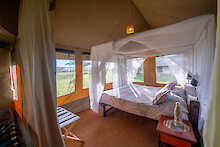 ThornTree Camp Blick ins Zelt  mit Doppelbett