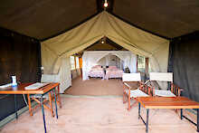 ThornTree Camp Blick ins Zelt zwei Einzelbetten