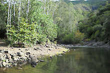 Fluss im Nationalpark