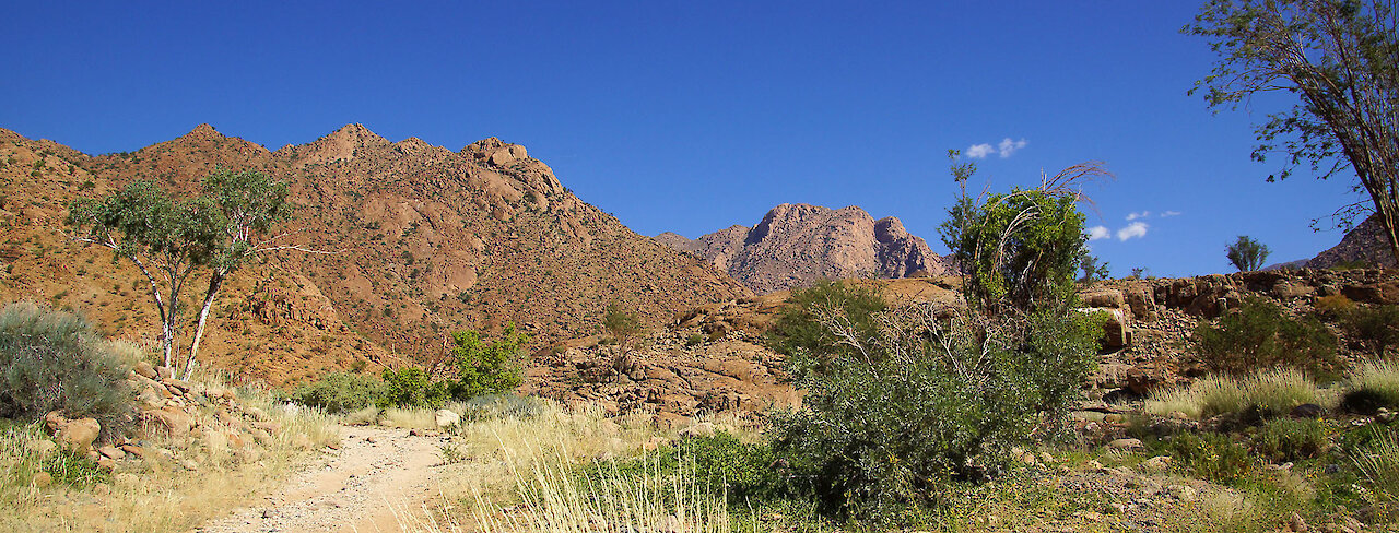 Brandbergmassiv