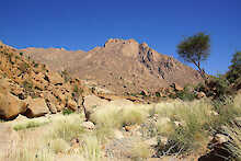 Landschaft um den Brandberg herum