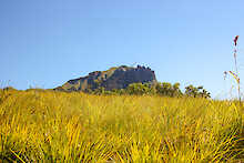Berggipfel hinter hohem Gras