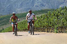 Fahrradfahrer in den Winelands