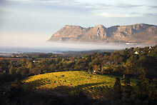 Luftaufnahme der Winelands mit Bergen im Hintergrund