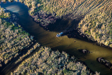 Luftaufnahme von Elefanten im Okavangodelta