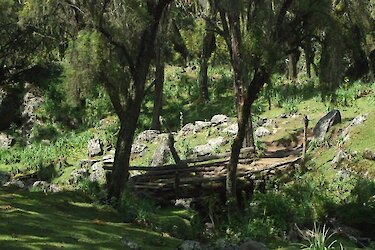 Bale‑Mountains‑Nationalpark