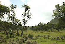 Nationalpark