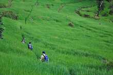 Trekking im Nationalpark