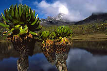 Blick auf Mount Kenya von See