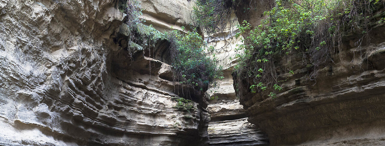 Hell's Gate