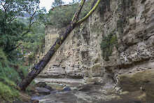 Hells Gate See